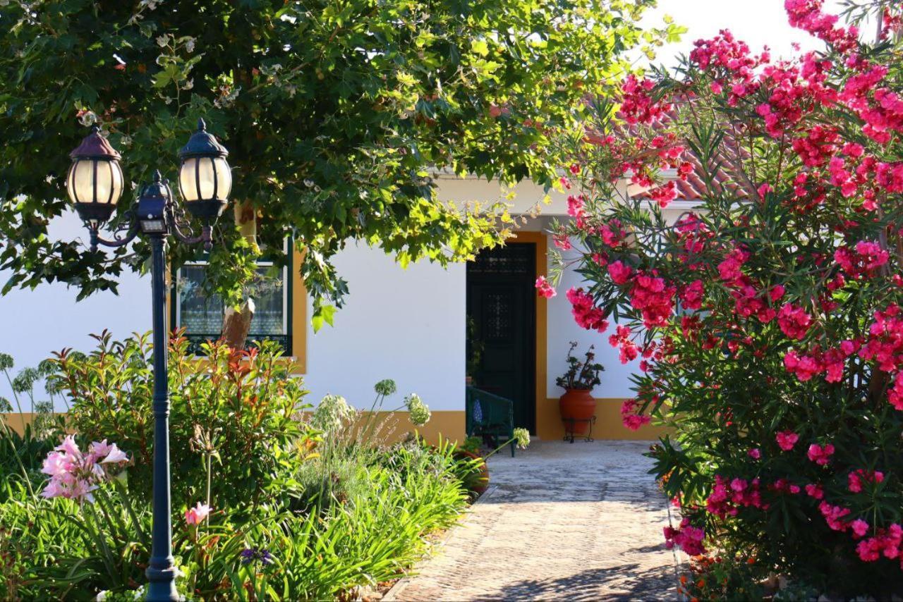 Casa Robusto Pensionat Salvaterra de Magos Exteriör bild